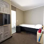 Отель Ibis Centrum