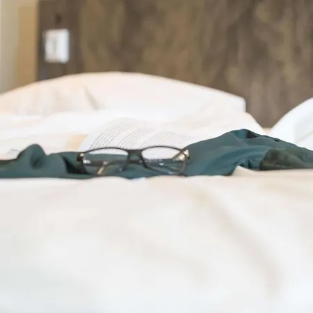 Ibis Centrum Kolín nad Rýnem